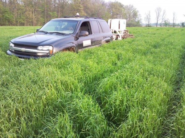 TBinAnnualRyegrassSpring11.jpg