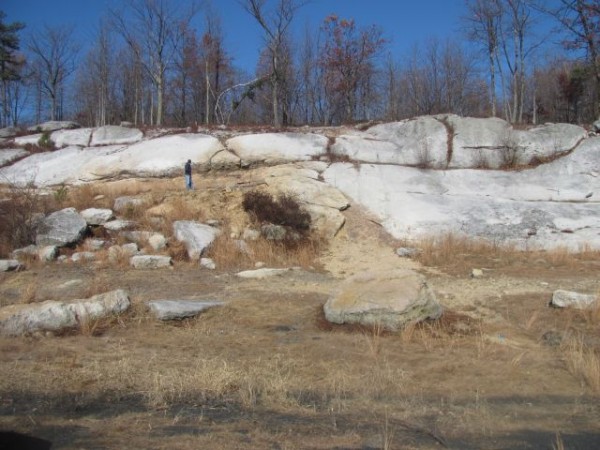 1295w.jpg