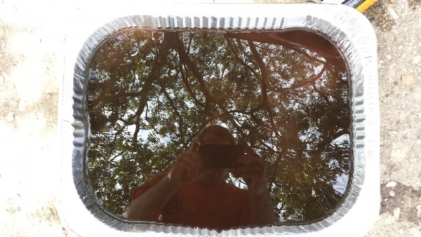 Tranny.jpg (194.93 KiB) Viewed 4626 times Tranny.jpg