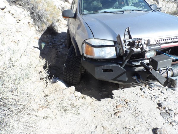 SAM_2118 (Medium).JPG