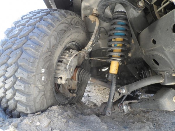 SAM_2120 (Medium).JPG