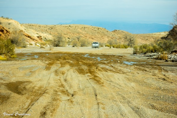 Bitter springs-49.jpg