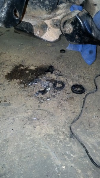 IMG_20150412_185909_310.jpg (959.82 KiB) Viewed 16792 times IMG_20150412_185909_310.jpg