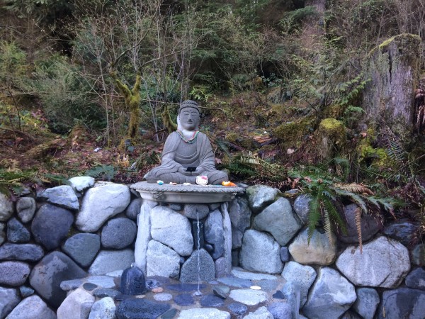 IMG_0436.JPG (3.44 MiB) Viewed 11078 times IMG_0436.JPG